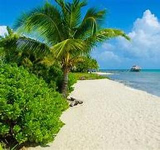 Auto Rental When In A Maui Hawaii Vacation