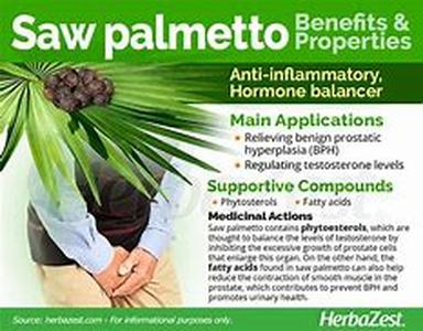 Saw Palmetto and Hair Loss