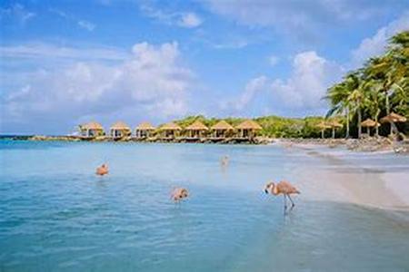 Keywords: aruba  restaurants  5