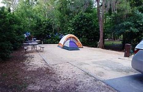 Camping  A Wonderful Way To Enjoy The Summer Outdoors