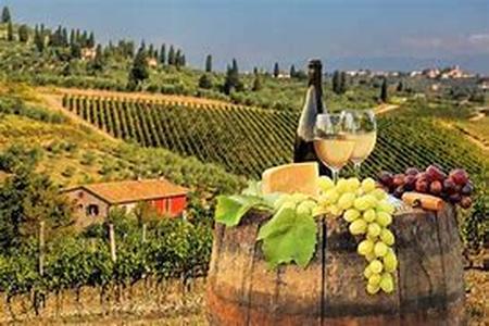 Winemaking Secrets From Napa  Sonoma, California
