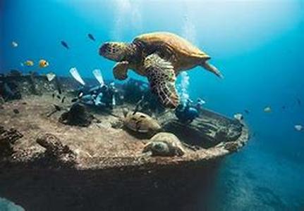 Modern scuba diving computers to enhance your dive   Different divers need different paraphernalia