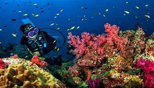 Thailand(Heart Of Asia) Holidays