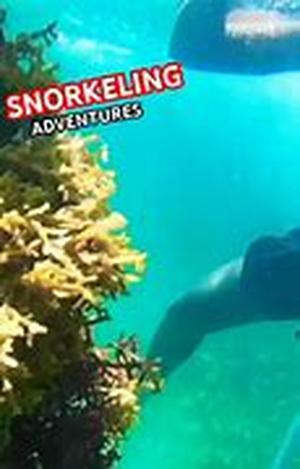 Discover the Highlights of Northern California