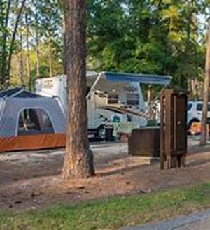 Camping Trips