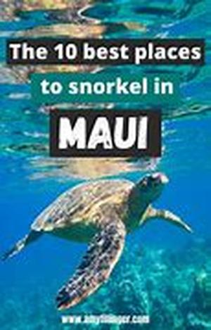 Barbados Snorkeling