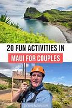 MAUI REAL ESTATE  Summary: Online sites help in making the selling and buying of a Maui real estate a fun filled experience
