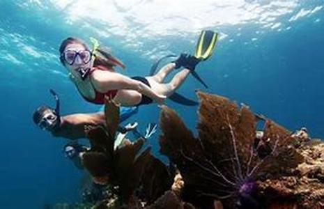 Scuba Diving Jobs