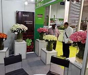 Fishing Trade Shows