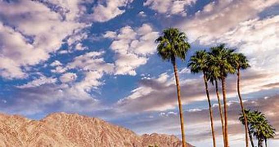 Discover How Cheap Travel Agents Can Save Your Time And Money