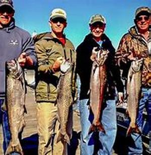 Salmon Fishing in   The typical adult salmon fish averages 33 to 36 inches in length but some species like the Chinook can grow up to 58 inches