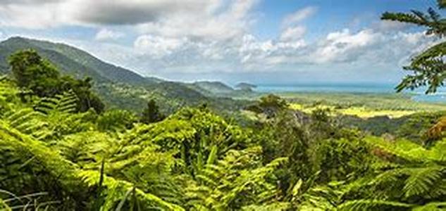 The Allure Of Big Islands Hilo