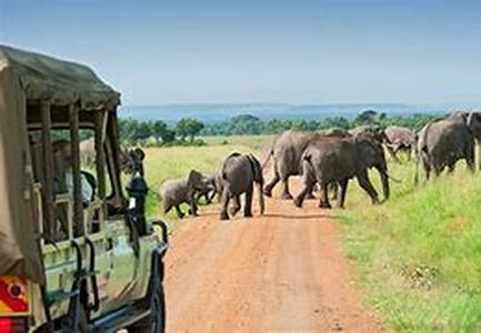Africa Adventure Tours  Summary: Africa adventure tours have several safaris to choose from that will bring you to places with interesting and scenic views