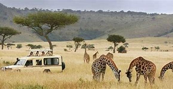 Safaris And Africa Offer Mind Blowing Adventures