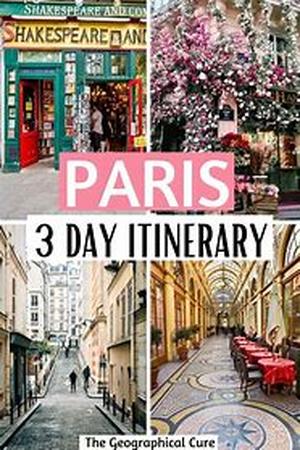 Paris flower markets, flee markets and regular shopping