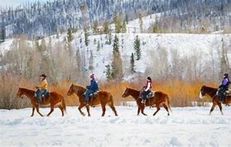 When you are not sure what to get someone when buying a holiday gift, you have a few options