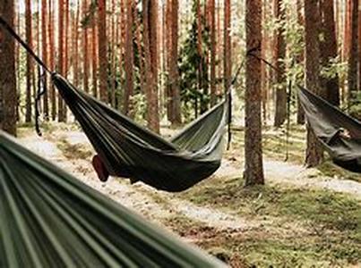 Had a Holiday Nightmare or Dream Vacation