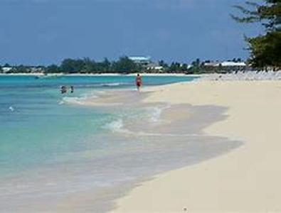 Find Discount Scuba Diving Vacation Popularity Of Destination