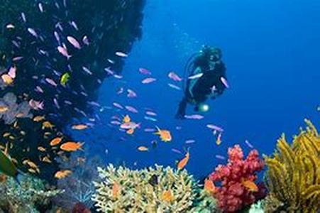 Scuba Diving in St