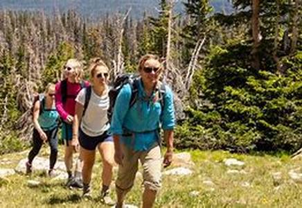Experience Privacy and Intimacy with a Mountain Cabin Rental