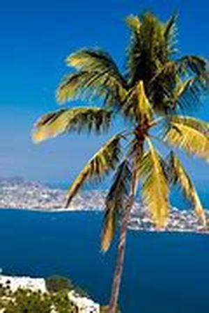 Chartering a Private Yacht: The Importance of Cost