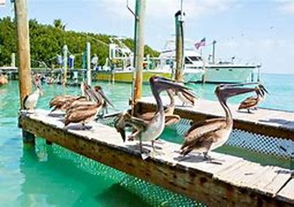Key West Light Tackle Fishing