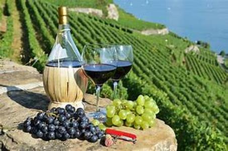 Wine and Rejuvenation Retreats in Mendocino