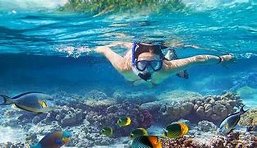 Vacation Packages  So you are finally going on that long-awaited and much worked-for vacation