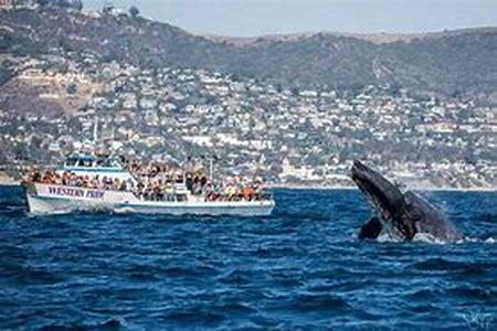 San Francisco Offers Fun in Sun and the Water