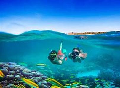 One Of The Adventures Highly Considered When Visiting A New Place Is The Native Delicacy And Food Of The Place