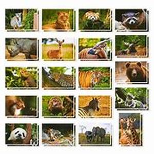 Vacations by Adventure Tours Travel Company  Summary: Vacations by Adventure Tours Travel Company guarantees to give the best service for your vacation needs