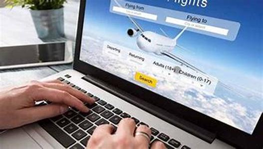 Air Travel:  Your Booking Options