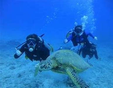 Scuba Diving In Boracay Islands