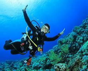 Scuba Diving Class for Beginners