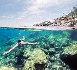 Banderas Bay Snorkeling