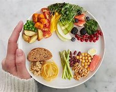 Diet Book