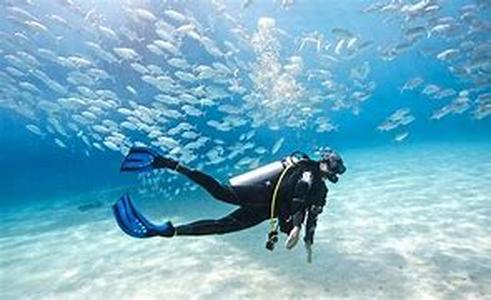 Getting to know the reefs when scuba diving Belize  Belize, located in Central America is not only known because of the many cultural and traditional festivities of the area but its also famous because its blessed with abundantly beautiful reefs