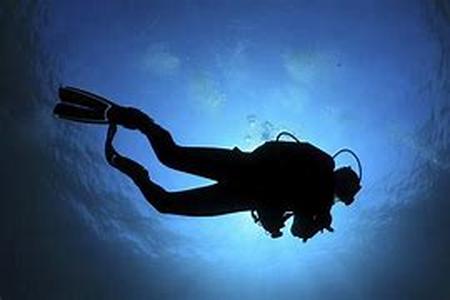 Have fun scuba diving in Florida  Sport divers, wreck divers, or recreational divers always want a new place to dive to