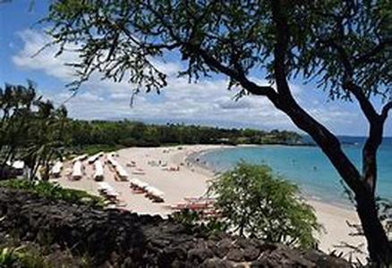 26 Lanzarote Attractions  Guinate Tropical Park