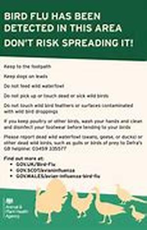 Tips for Staying Safe While Kayaking