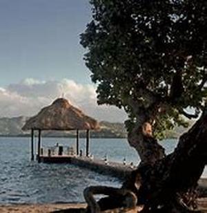A Photocopied Travel Letter To Home