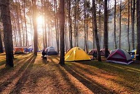 Camping Supply Secrets:  Camping Tips, Camping Equipment And Camping Gear Tricks