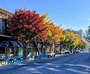 Caveat Emptor: Let the Renter Beware