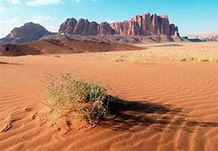 What Can You Do to Help The Environment When You Travel