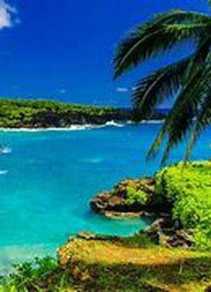 How To Find A Maui Vacation Rental Houses