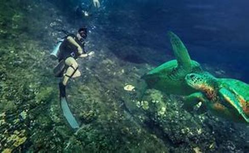 Scuba Diving Cruise In Maldives