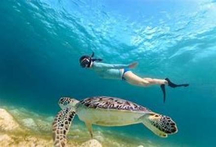 Private Yacht Charters:  Perfect for Honeymooners