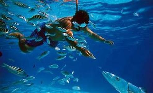 Costal Cottage Rentals:  Your Own, Private Summer Vacation Destination