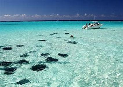 Scuba Diving