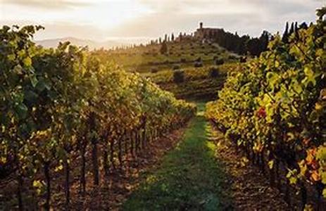 Wine Country Trips: Tips For Choosing A Destination